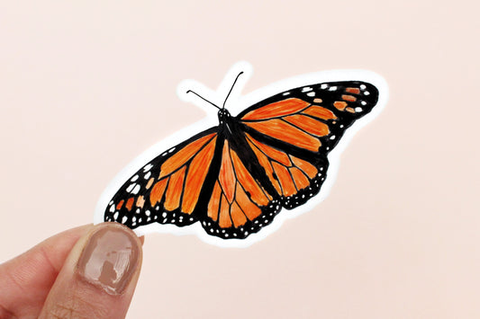 Monarch Butterfly Vinyl Sticker, Illustration, Butterfly Gift Nature Gift | TheMagnetMaiden