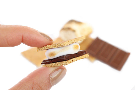 Single S'more Magnet, Smore Magnet, Camping Lover Gift, Chocolate Gift, Camping Theme | TheMagnetMaiden