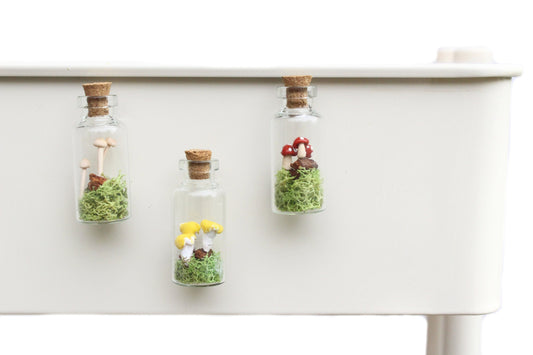 Micro Mushroom Terrarium Magnet Bundle, Refrigerator Magnet, Gift for Him, Nature Gift, Botanical Gift | TheMagnetMaiden